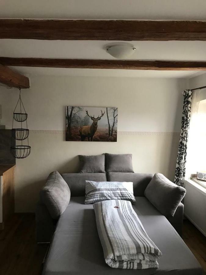 Gestuet Tiefenhof Apartment Nittenau Ngoại thất bức ảnh